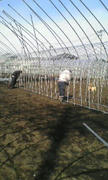 20120212113554.jpg