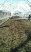 20120212113624.jpg