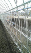 20120214115341.jpg