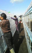 20120224101127.jpg
