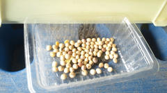 2012022811090000.jpg
