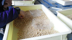 2012022809510001.jpg
