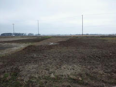 image_20120218181254.jpg