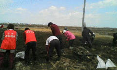 20120327114528.jpg