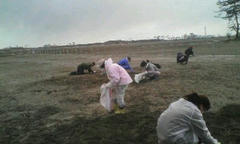 20120407112440.jpg