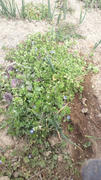 2012040811120000.jpg