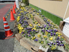 DSCN0857.JPG