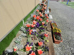 DSCN0858.JPG