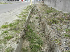DSCN0861.JPG