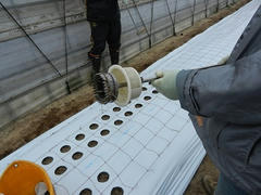DSCN0864.JPG