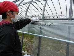 DSCN0865.JPG