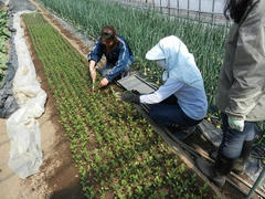DSCN0867.JPG