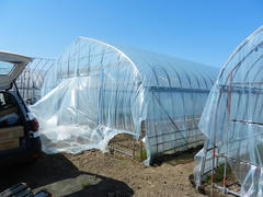 DSCN0870.JPG