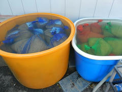 DSCN0875.JPG