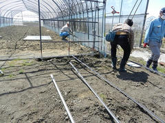 DSCN0876.JPG