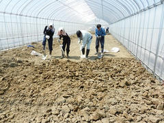 DSCN0878.JPG