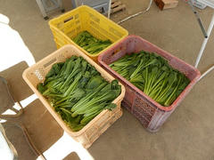 DSCN0880.JPG