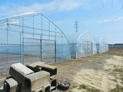 DSCN0882.JPG