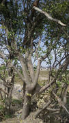 2012041510430000.jpg