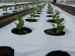 DSCN0890.JPG
