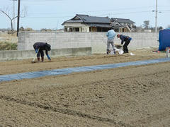 DSCN0886.JPG