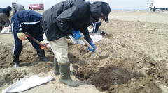 2012041610190000.jpg