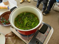 DSCN0903.JPG