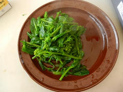 DSCN0904.JPG