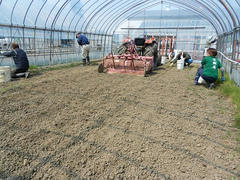 DSCN0908.JPG