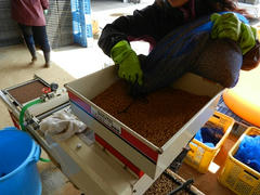 DSCN0907.JPG