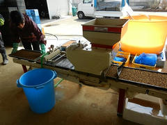 DSCN0905.JPG