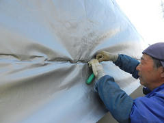 DSCN0919.JPG