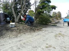 DSCN0911.JPG