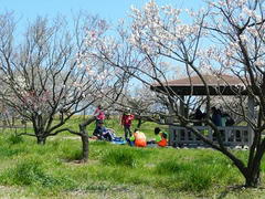DSCN0922.JPG