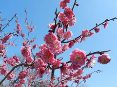 DSCN0925b.jpg