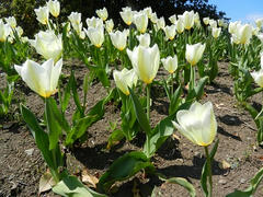 DSCN0927.JPG