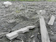 DSCN0936.JPG