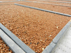 DSCN0940.JPG