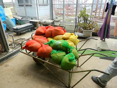 DSCN0944.JPG