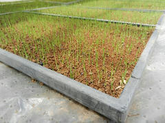 DSCN0970.JPG