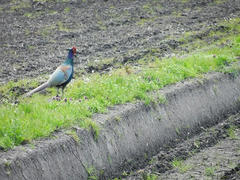DSCN0972.JPG
