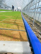 DSCN0979.JPG