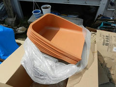 DSCN0981.JPG