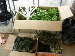 DSCN0982.JPG