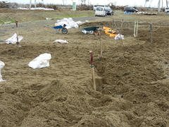 DSCN0996.JPG