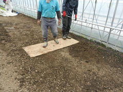 DSCN0994.JPG