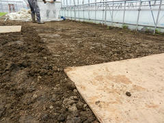 DSCN0993.JPG