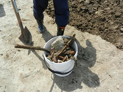 DSCN1006.JPG