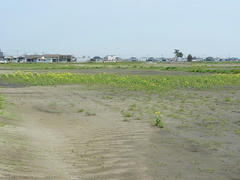 DSCN1029.JPG