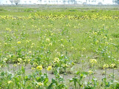 DSCN1030.JPG